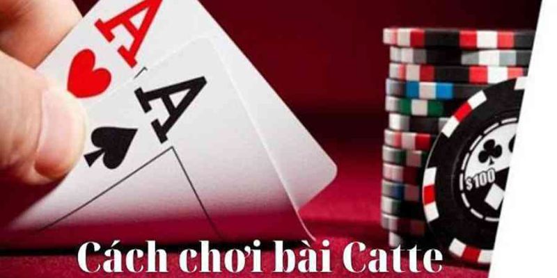 Cách chơi bài Catte
