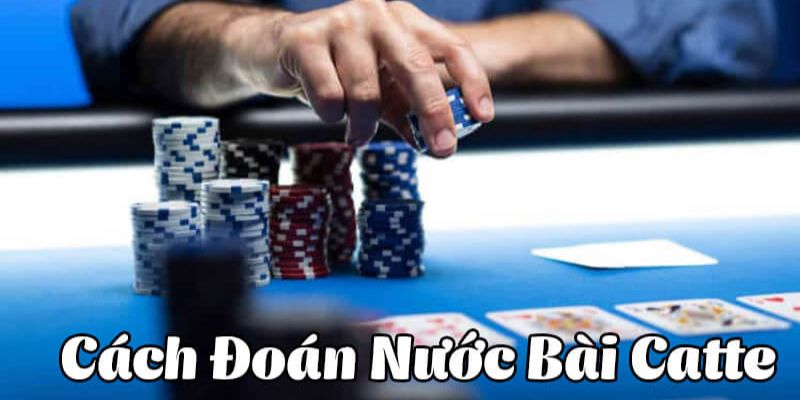 Hướng dẫn cách chơi bài Catte cơ bản cho người mới
