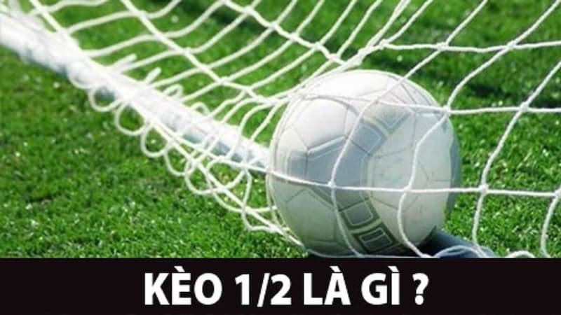 Kèo ½ là gì?